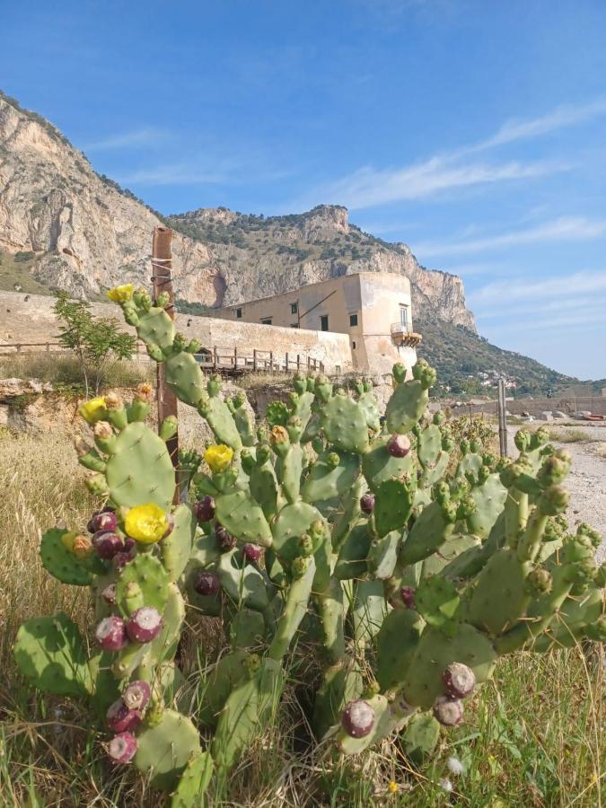 Appartamento Giorgisa Palermo Esterno foto